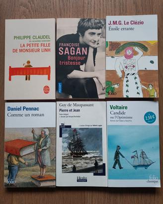 Set libri in francese livello facile e intermedio 