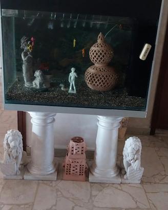 acquario molto grande