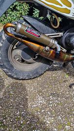 Marmitta Giannelli reverse