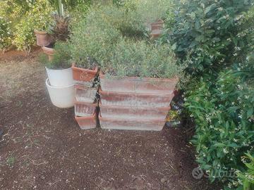Vasi  da giardino o terrazzo