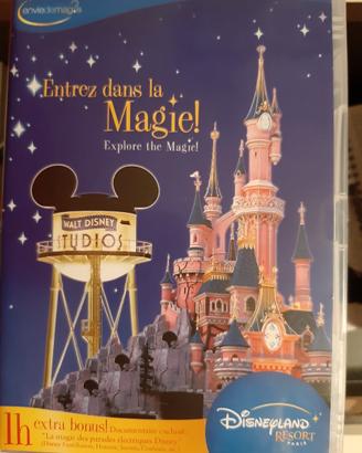Disneyland resort paris