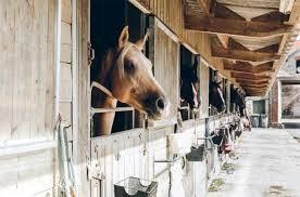 Maneggio-stalla PAVIA