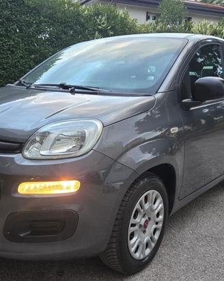 Fiat Panda 1.3 MJT 95 CV S&S Pandazzurri