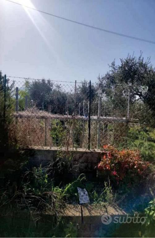 Immobile in asta di 4386 m² a Maenza - Vista 4