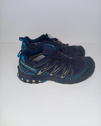 salomon xa pro 3d gtx 44 2/3