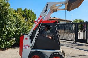 P184-MINI PALA JOLLY 17q