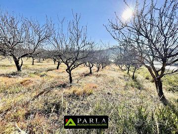 Terreno di 50000 m² a Naro