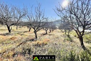 Terreno di 50000 m² a Naro