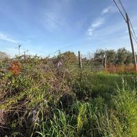 Terreno Agricolo Fondi [Cod. rif 3222752VCG]