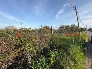 Terreno Agricolo Fondi [Cod. rif 3222752VCG]