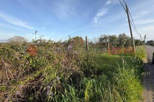 Terreno Agricolo Fondi [Cod. rif 3222752VCG]