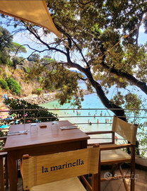 Liguria , lerici e Cinque Terre da 50 al giorno