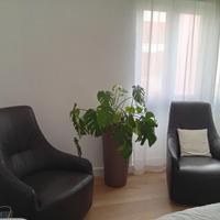 Poltrone in vera pelle