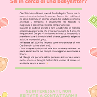 Babysitter