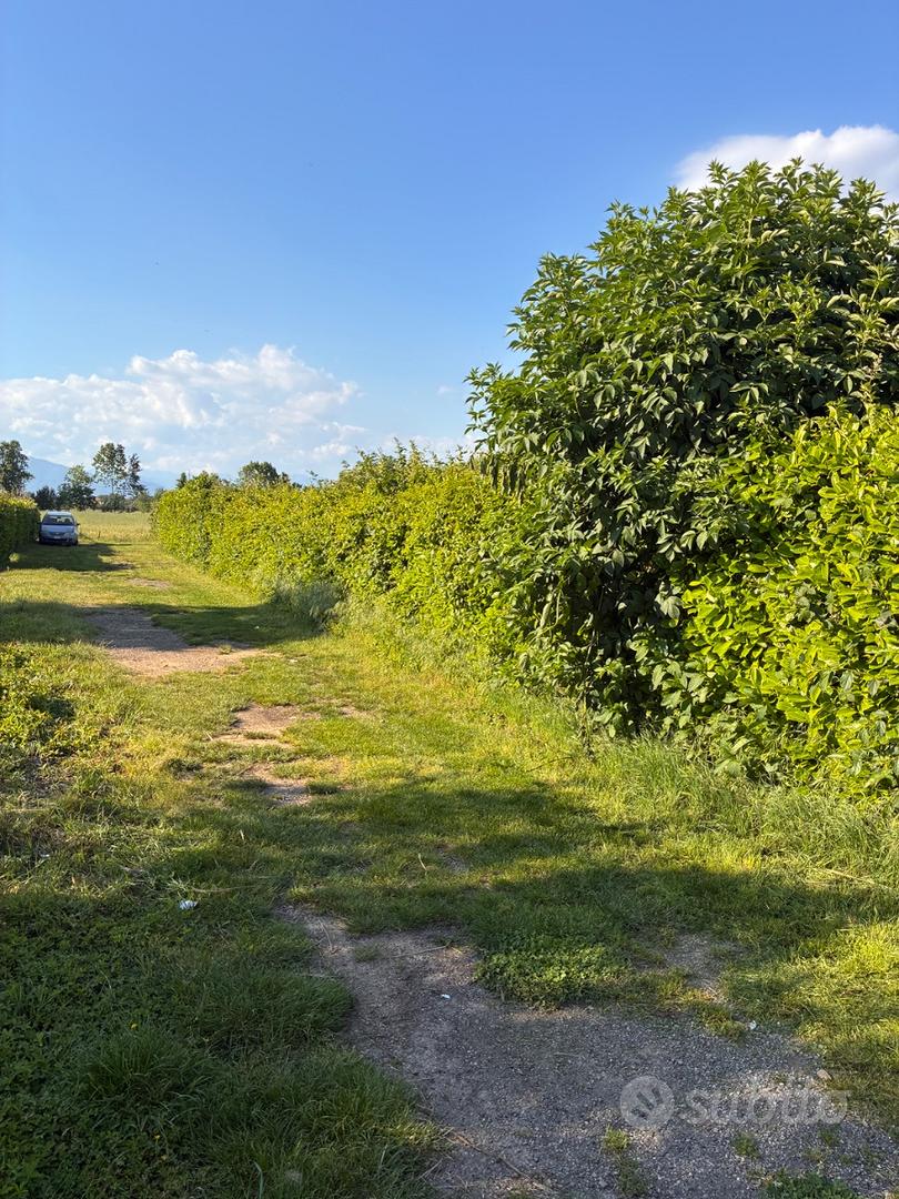 Terreno Agricolo - Vista 6