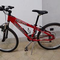 Muntain bike  Carraro non utilizzata