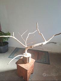 Trespoli per pappagalli