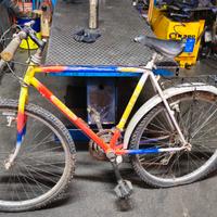 Bicicletta Mountain Bike 