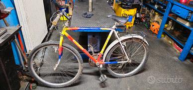 Bicicletta Mountain Bike 