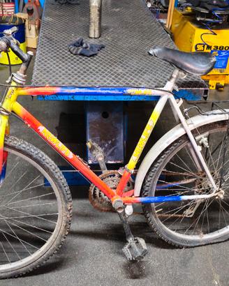 Bicicletta Mountain Bike 