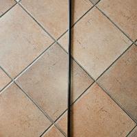 Bastone antico in corno da donna completo