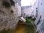 Immagine 26