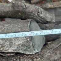 Legna di Ulivo da ardere