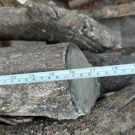 Legna di Ulivo da ardere