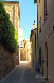 Centro storico vista mare