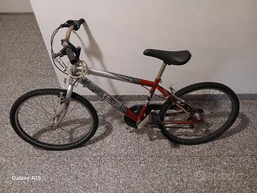 Mountain Bike bimbo CANELLINI - RICAMBI