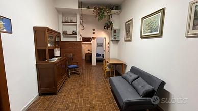 Monolocale seminterrato