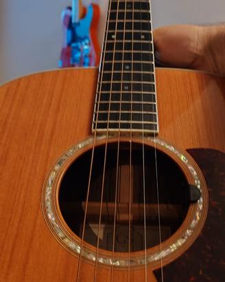 Chitarra Taylor GS Series