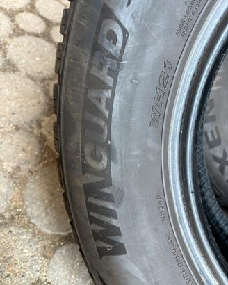 Gomme invernali