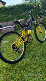 bicicletta da bambino 