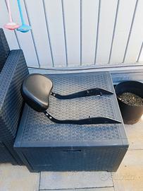 schienale moto CF moto clx