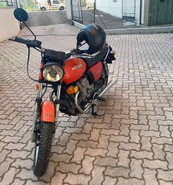 MOTO GUZZI  V50