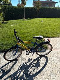 Bici Mountain Bike Pinnarello