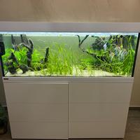 Acquario Eheim proxima 325