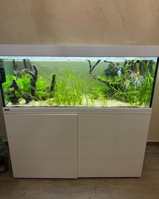 Acquario Eheim proxima 325