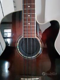 basso acustico ibanez