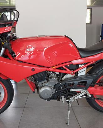 Gilera Saturno 500 Bialbero