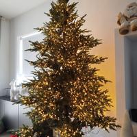 albero di natale edg luxury pino