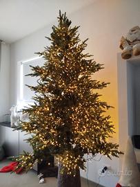 albero di natale edg luxury pino