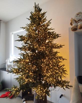 albero di natale edg luxury pino