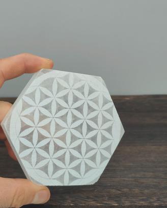 Piastra selenite esagonale Nido Ape Fiore de Vita