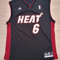 Miami Heat LeBron James 