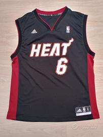 Miami Heat LeBron James 
