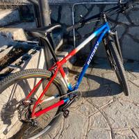 MTB ritchey ultra 50esimo