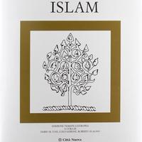 Enciclopedia delle religioni - islam - volume 8