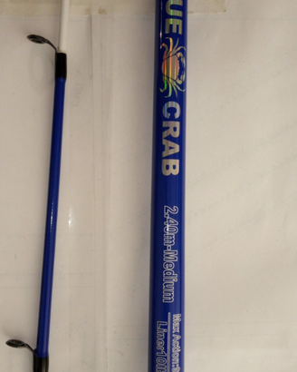 Canna da pesca nuova euro 15